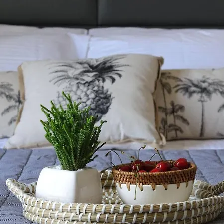 Appartement Aelia Lixouri